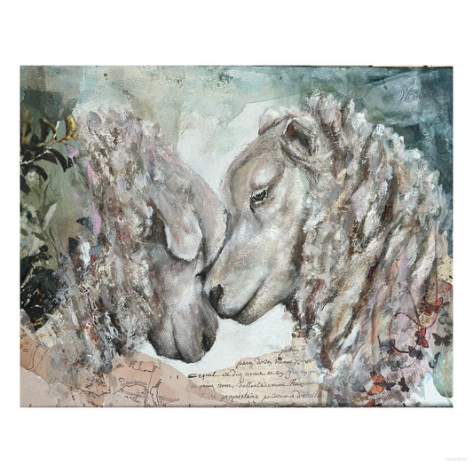 sheep